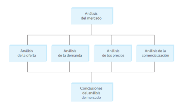 Estructura del Análisis del Mercado